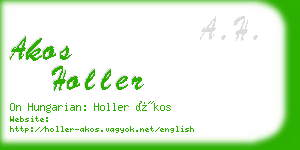 akos holler business card